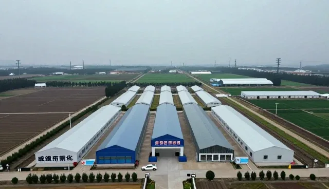 技术适配中的常见问题及应对策略